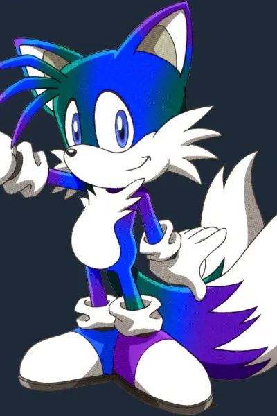 Finn The Fox