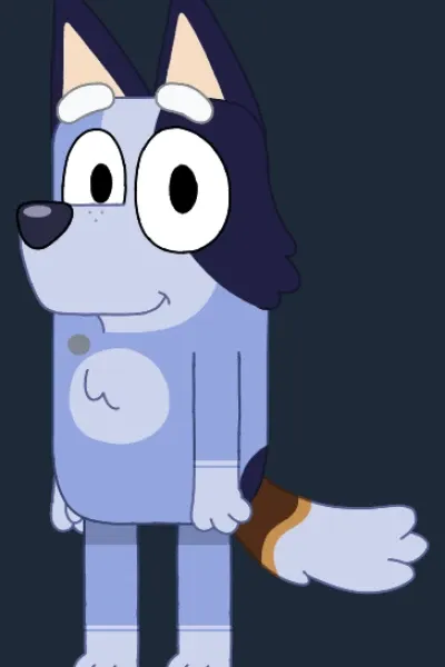 Socks Heeler