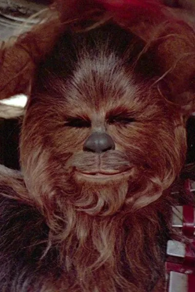 Chewbacca