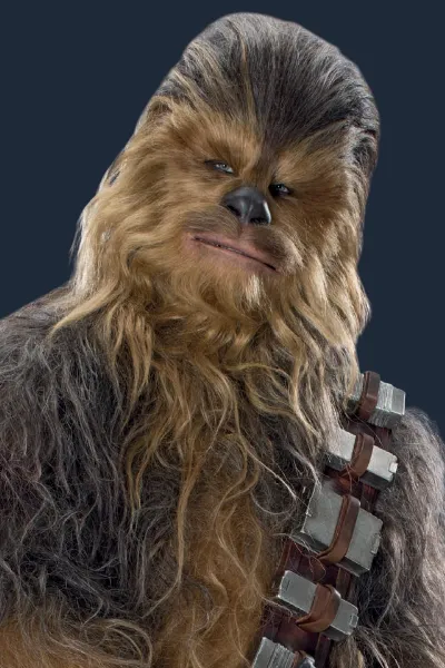 Chewbacca