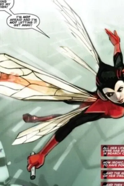 Wasp photo 2