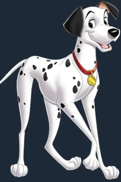 Pongo