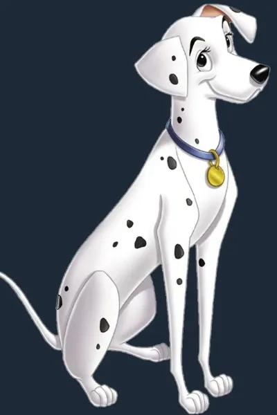 Perdita