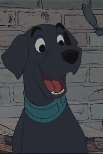The Labrador
