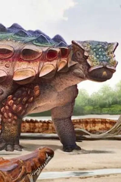 Akainacephalus