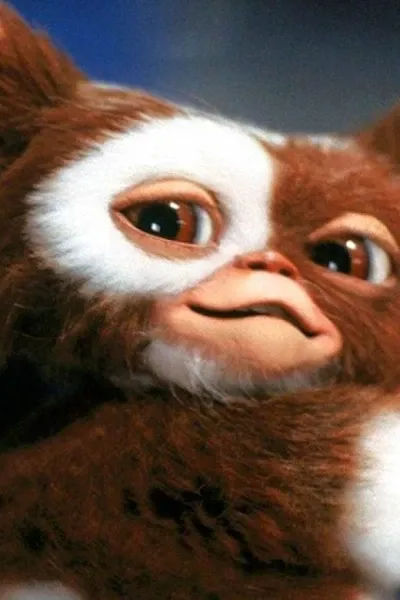 Gizmo