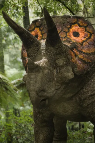 Triceratops