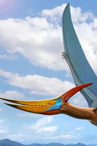 Pteranodon
