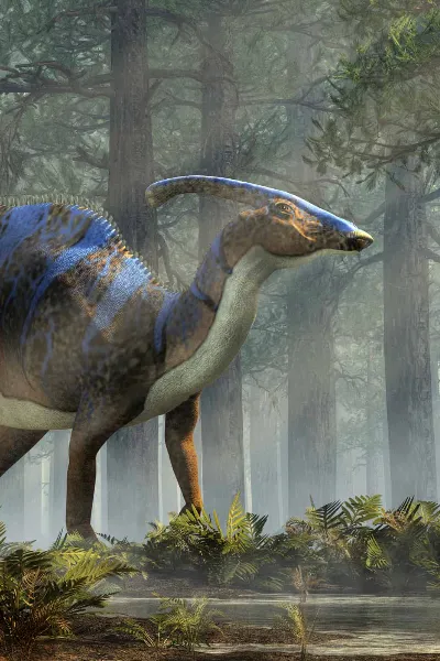 Parasaurolophus