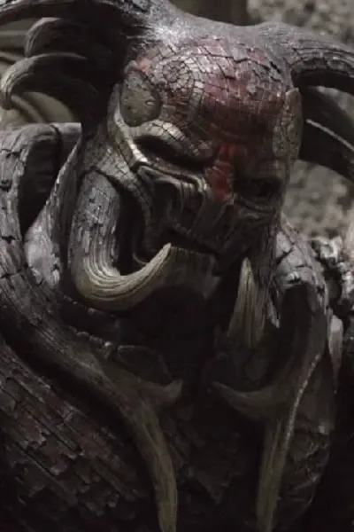 Algrim/Kurse