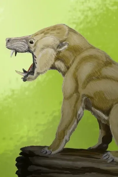 Arctocyon