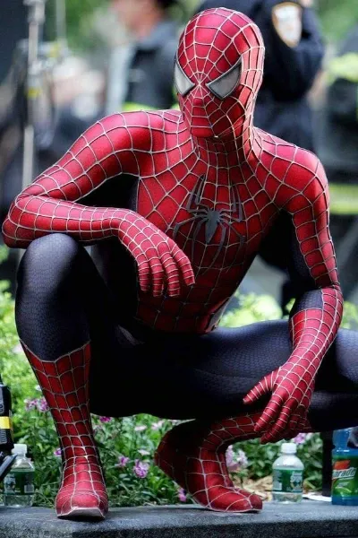 Peter Parker/Spider-Man