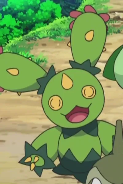 Maractus