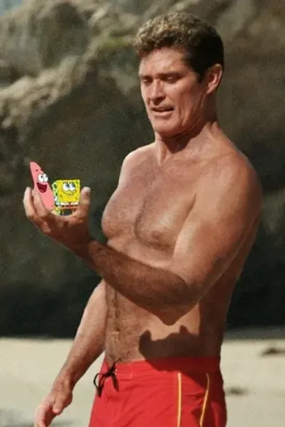 David Hasselhoff