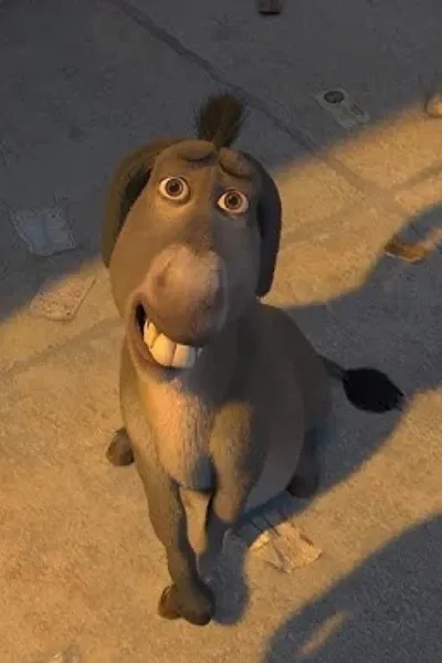 Donkey photo 1