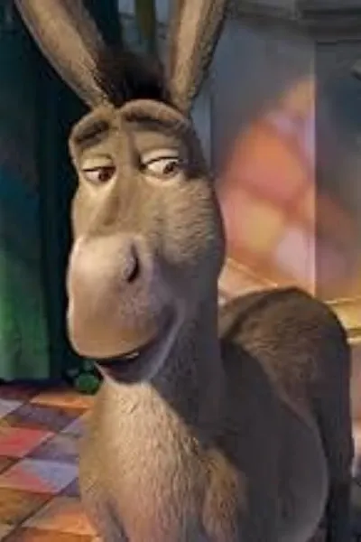 Donkey