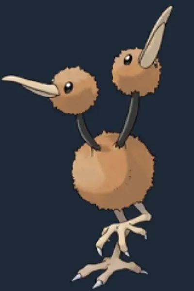 Doduo