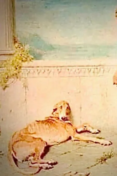 Argos