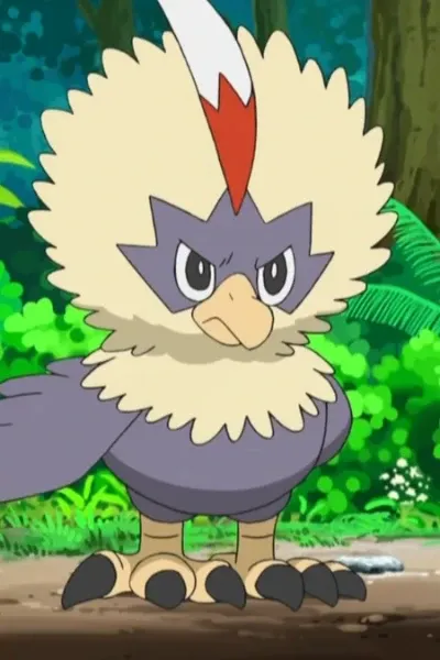 Rufflet