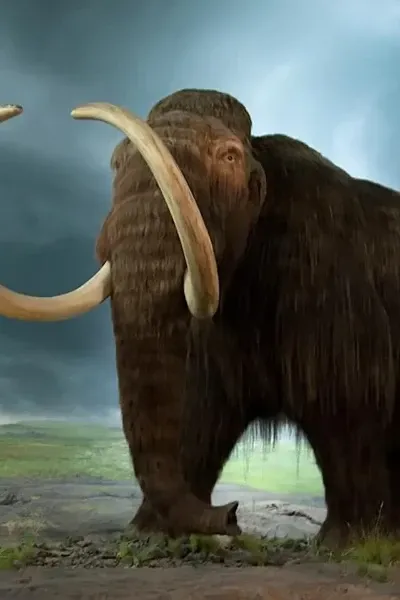Woolly mammoth