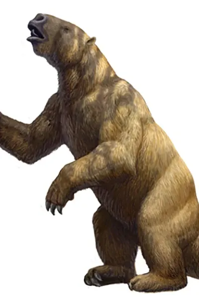 Megatherium
