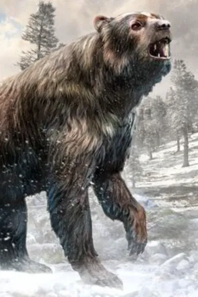 Cave bear