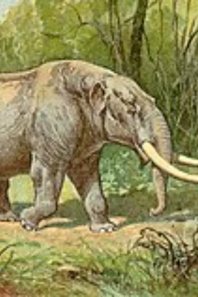 Mastodon