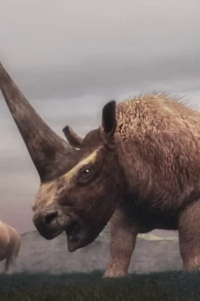 Elasmotherium