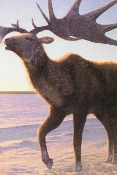 Megaloceros