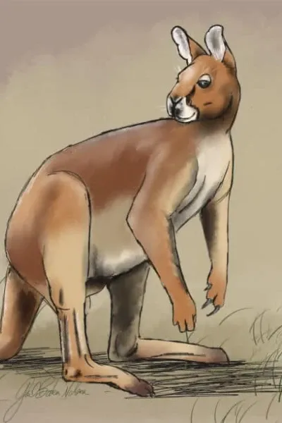 Procoptodon