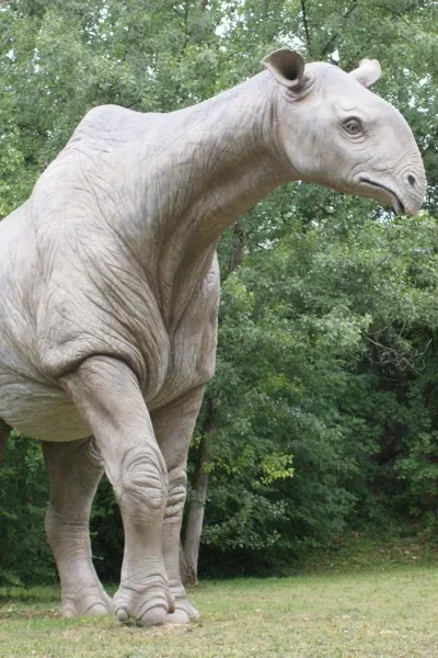 Paraceratherium