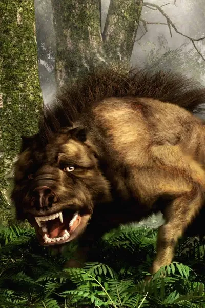 Daeodon