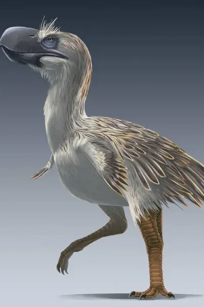 Terror bird