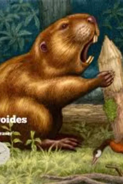 Castoroides