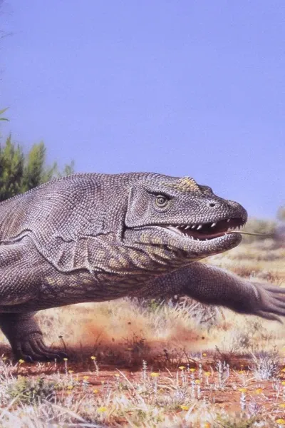 Megalania