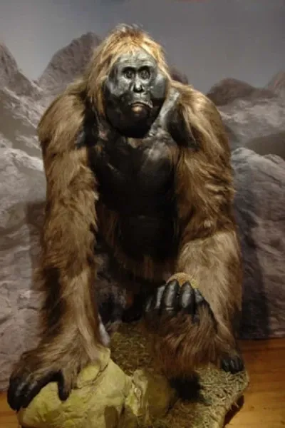 Gigantopithecus