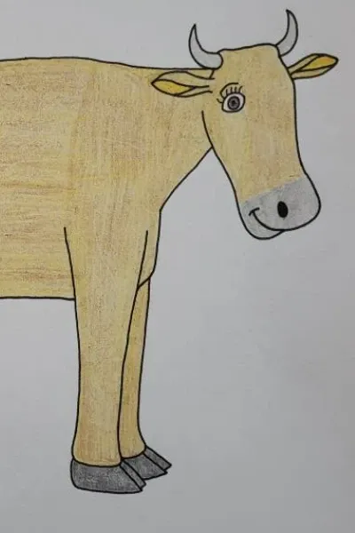 The cows