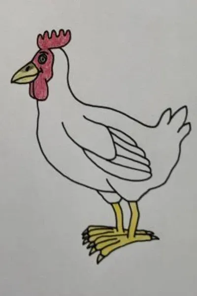 The chickens