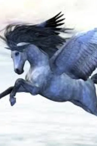 Dawnfir