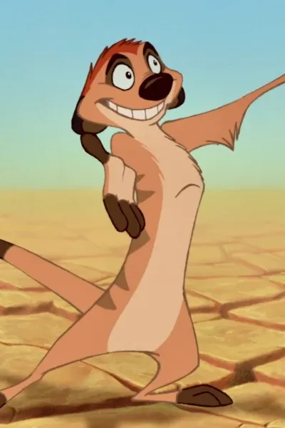 Timon