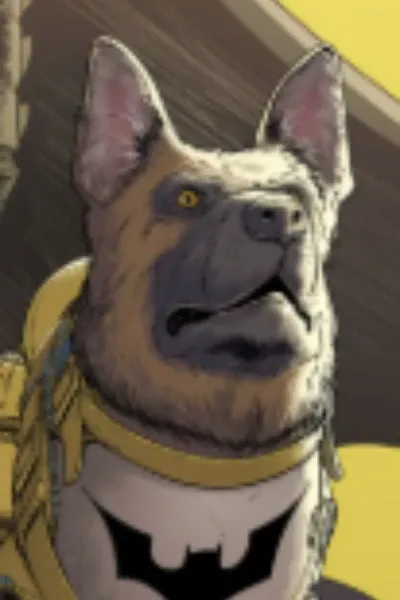 Ace