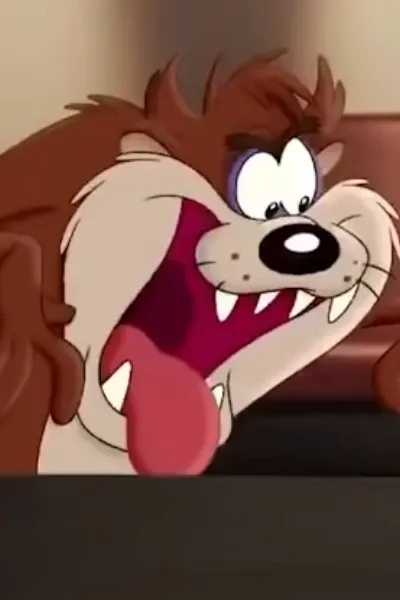 Tazmania Devil