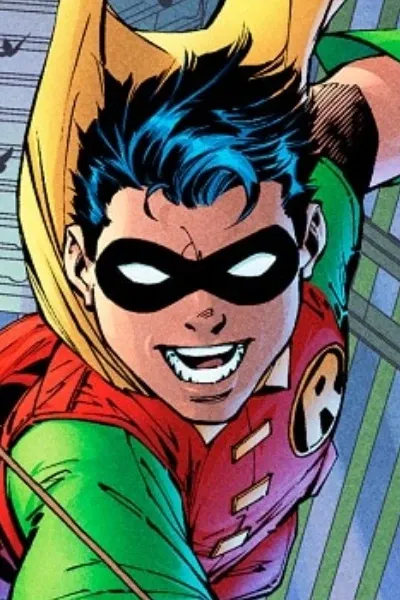 Robin #1