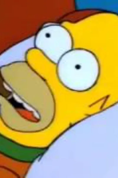 Homer Simpson