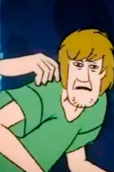Shaggy
