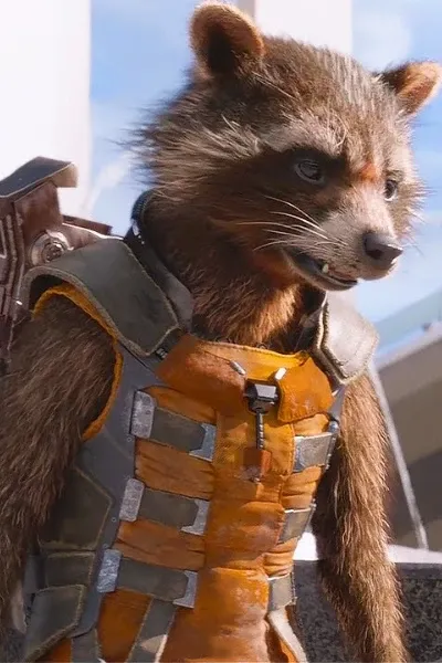 Rocket