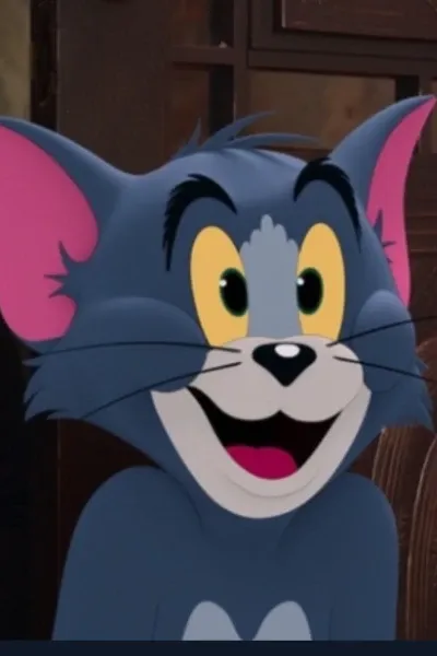Tom Cat