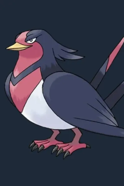 Ray's Swellow