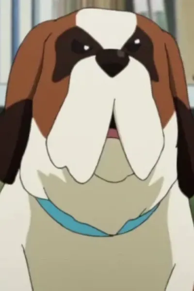 Inumi
