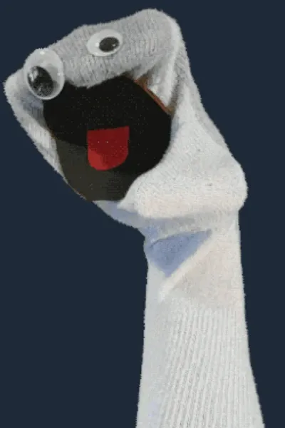 Sock Puppet